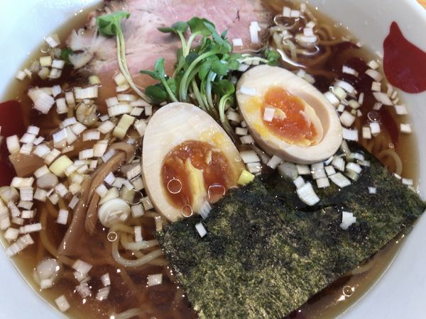 「冷やし支那そば810円+味玉100円」@正月屋分店 石川屋の写真