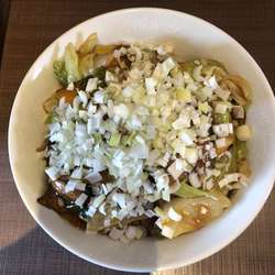 スタミナ冷やしダブル刻みネギトッピング