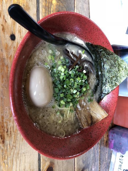 「半熟煮卵入りらぁめん」@成竜 平和橋通り店の写真