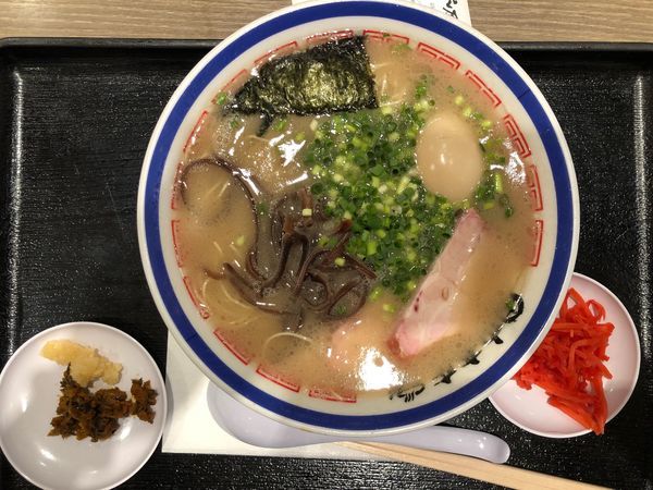 「味玉ラーメン」@中華そば専門 田中そば店 ダイバーシティ東京プラザ店の写真