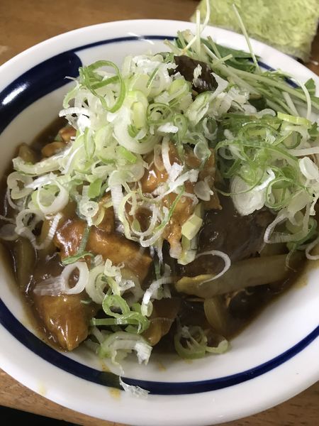 「【７月限定】揚げ蕎麦ぶっかけカレー南蛮 C」@MENYA 食い味の道有楽の写真