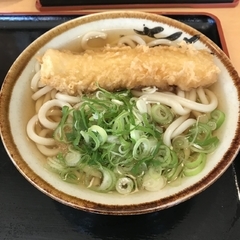 渡邉うどんの画像