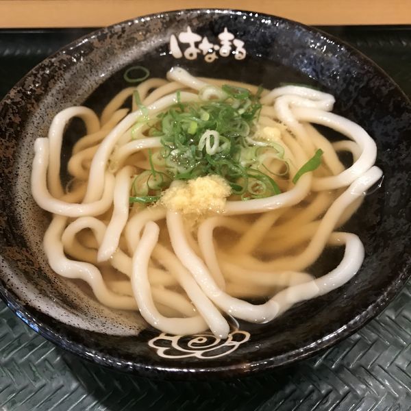 「かけ（小）（￥130）」@はなまるうどん 赤坂一ツ木通り店の写真