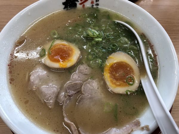 「味玉ラーメン w/鉄板チャーハンセット」@ラーメン 横綱 港店の写真
