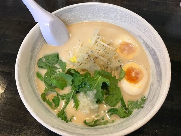 「塩ラーメン味玉 塩麹」@KENJUキッチンの写真