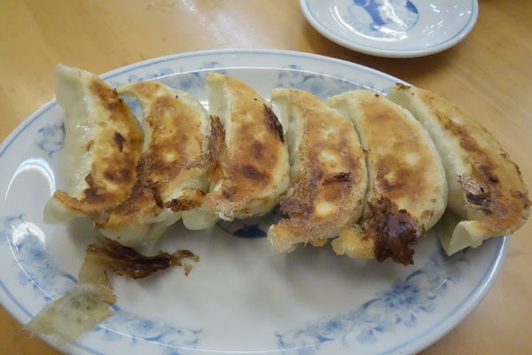 「焼餃子」@ぎょうざの満洲 北浦和西口店の写真