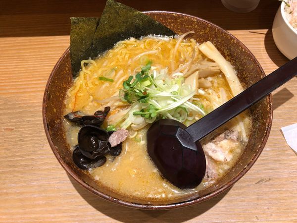 「味噌ラーメン」@白樺山荘 京都店の写真