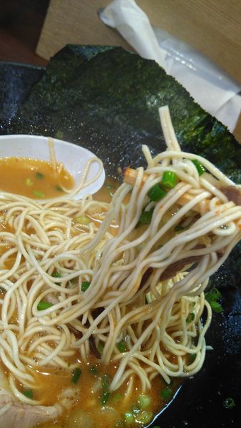「特製茨城豚骨かく 980円」@博多ラーメン とんこつ家の写真