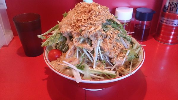 「サラダ麺 850円」@ひたちなか大盛軒の写真