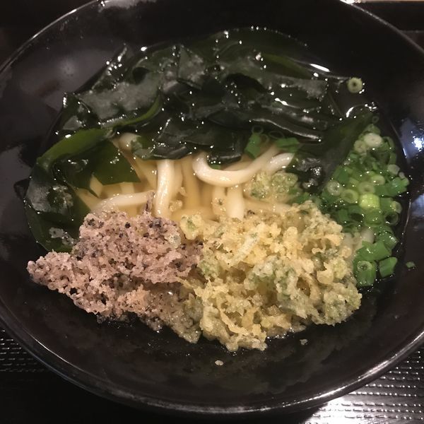 「かけ（並）（￥300）＋わかめ（￥50）」@有頂天うどんの写真