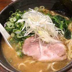 鐙ラーメン 太麺 九条ねぎ