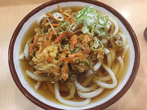 「野菜かき揚うどん¥370」@そばの神田 東一屋 名掛丁店の写真