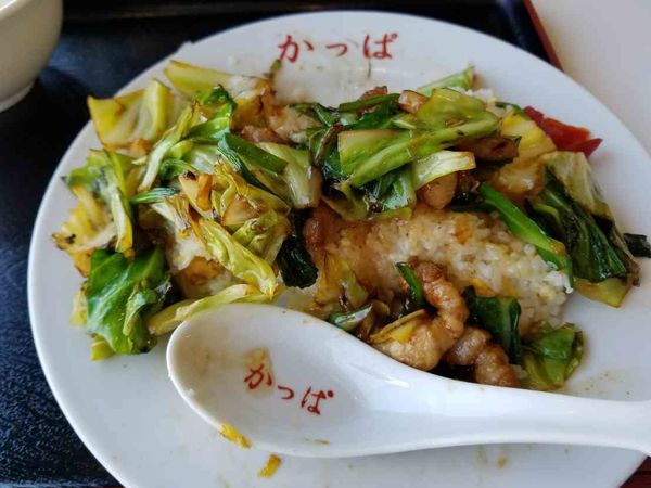 「肉チャーハン」@かっぱ食堂の写真