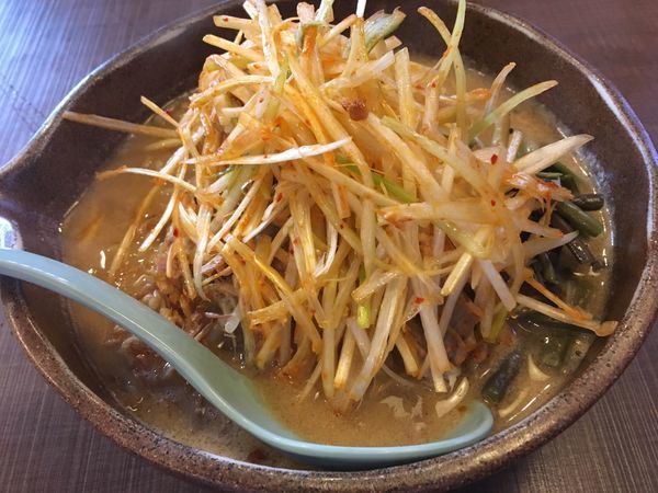 「信州肉ネギラーメン」@麺場 田所商店 中原店の写真