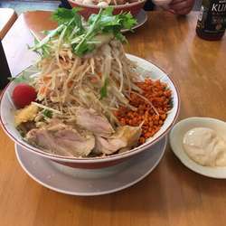 冷やし中華  全マシ ガリマヨ別皿