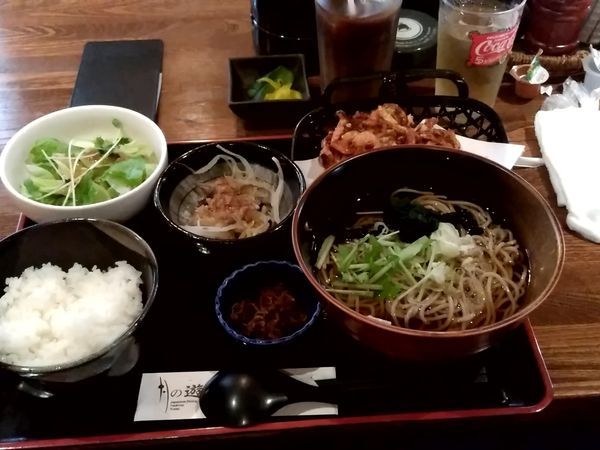 「冷やしかき揚げそばセット(並盛)896円」@月の遊膳 高崎店の写真