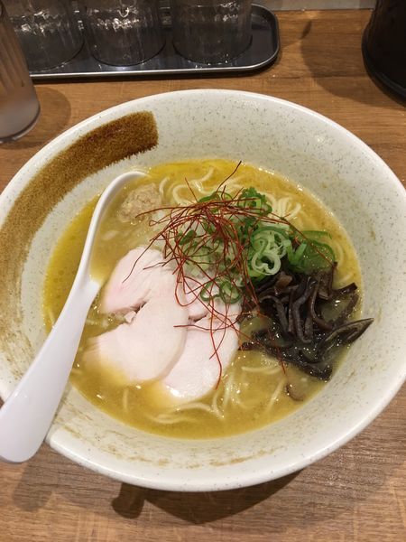 「濃厚鶏白湯そば  790円」@麺屋 こいけの写真