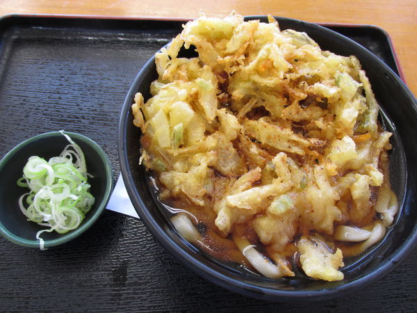 「天ぷらうどん」@あぐり亭の写真