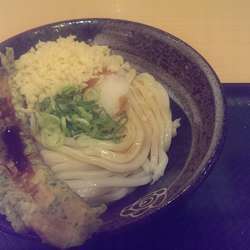 はなまるうどん イトーヨーカドー古淵店の画像