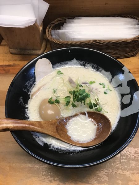 「鶏白湯 トッピング煮玉子」@ぼっこ志の写真