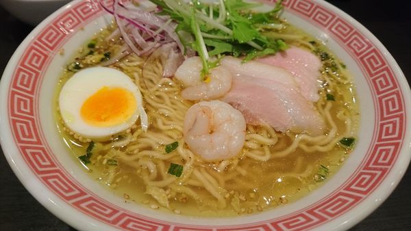 「塩らーめん（限定、８８０円）」@ラーメン大至の写真