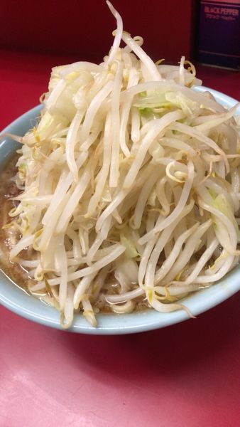 「ラーメン小 豚2枚」@ラーメン二郎 中山駅前店の写真