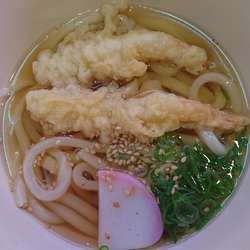 えび天うどん