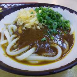 カレーうどん550円