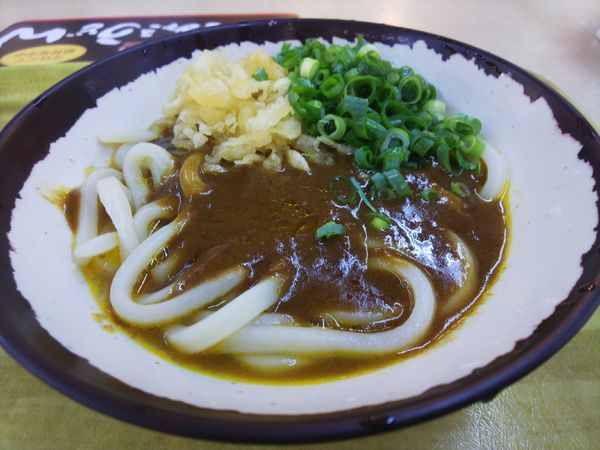 「カレーうどん550円」@あなぶき家 津田の松原サービスエリア(上り線)店の写真