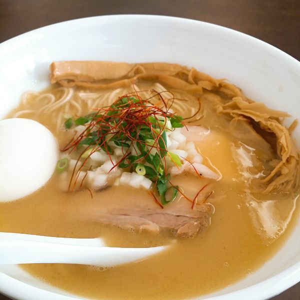 「鶏白湯塩拉麺」@麺屋 心羽の写真
