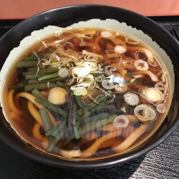 「山菜うどん（￥740）」@JAL PLAZA 羽田空港 7番ゲートショップの写真
