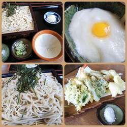 とろろつけそば＋天ぷら盛り合わせ