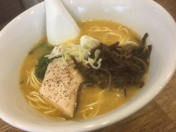 「博多水炊きラーメン」@麺屋すみすの写真