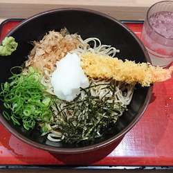 十割海老天おろしそばぶっかけ