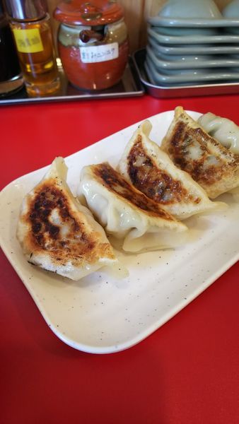 「肉餃子」@菅澤商店の写真