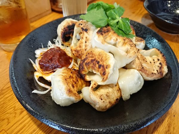 「【気まぐれ限定】焼き餃子」@麺屋 鶏口の写真