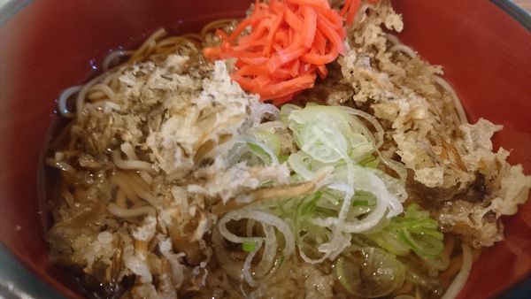 「マイタケそば」@おくとねの写真