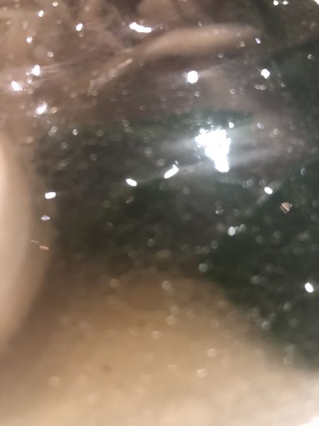 「塩ラーメン」@RAMEN CiQUEの写真