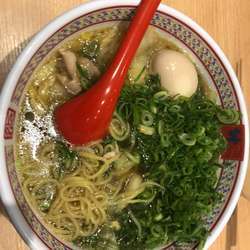 煮卵ねぎラーメン