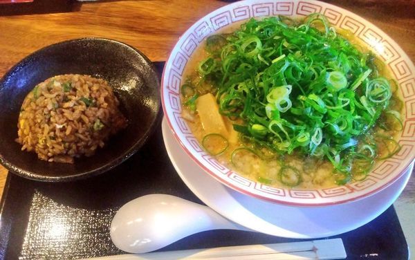 「山盛り九条ネギらぁめん＋焼きめし小」@めんや 風来房の写真