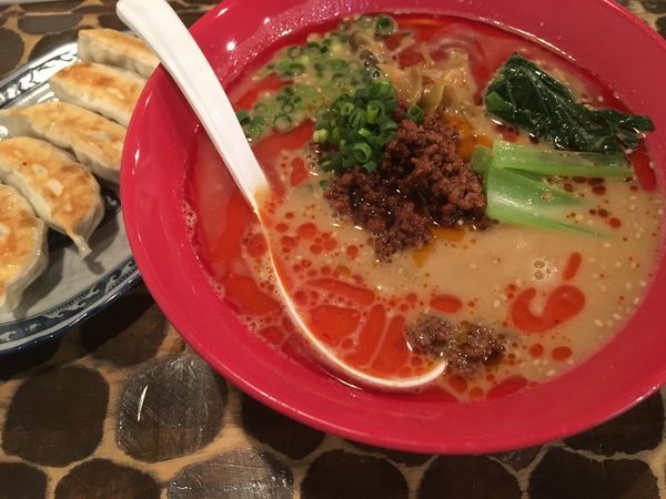 「タンタン麺＋龍神ぎょうざ」@つけめん・らーめん活龍 本店の写真
