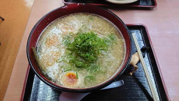 「特盛にんたまラーメン塩 850円」@にんたまラーメン ゆにろーず 角崎店の写真