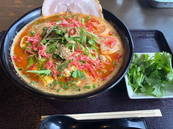 「トムヤムそば」@九十九里 麺ドラゴンの写真