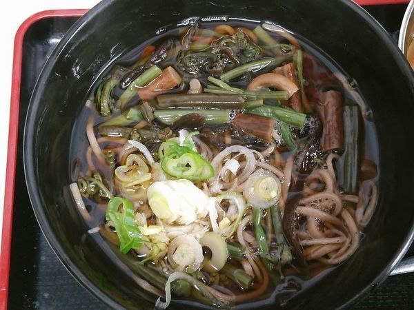 「山菜（田舎）」@永坂庵の写真