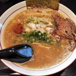 期間限定 濃厚中華そば 魚介豚骨版