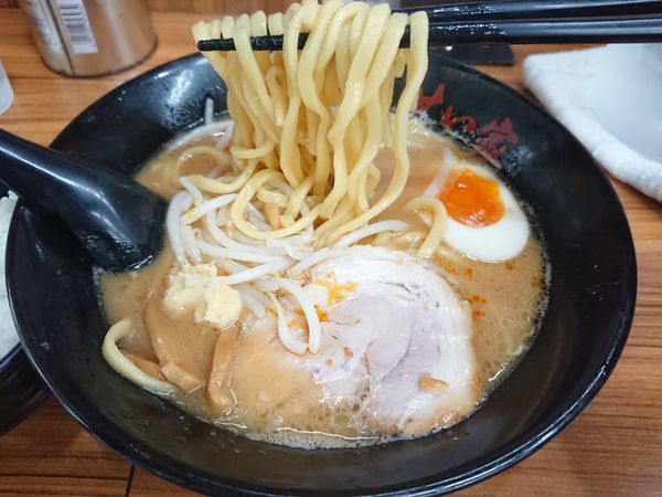 「みそらーめん540円(キャンペーン)＋ライス64円」@せい家 ひばりが丘店の写真