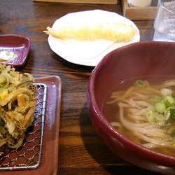 九条ネギかき揚げの温かいうどん