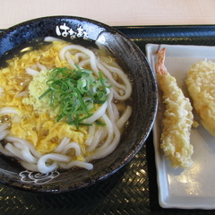 はなまるうどん 越谷レイクタウン店の画像