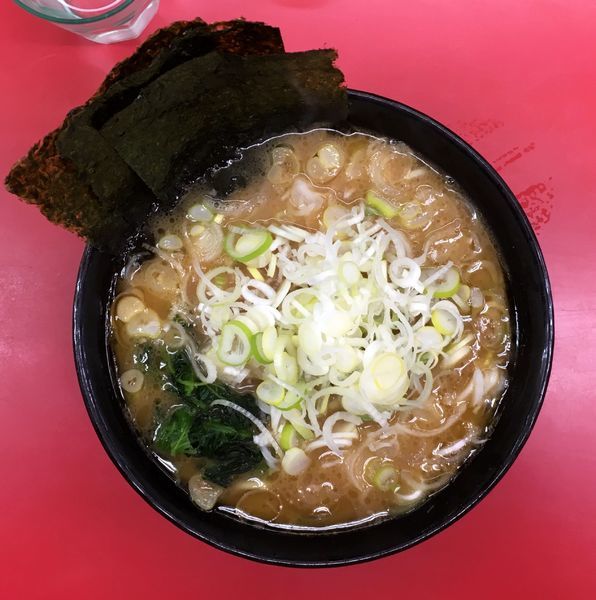 「ラーメン＋ねぎ」@ラーメン杉田家の写真