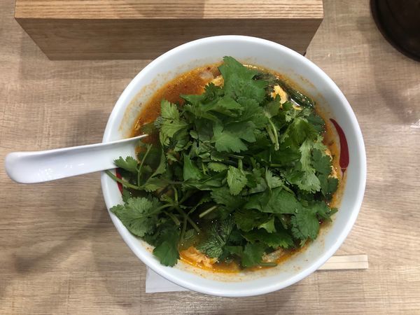 「パクチー辛麺(中華麺、辛さレベル1)」@辛麺屋 一輪 池袋店の写真